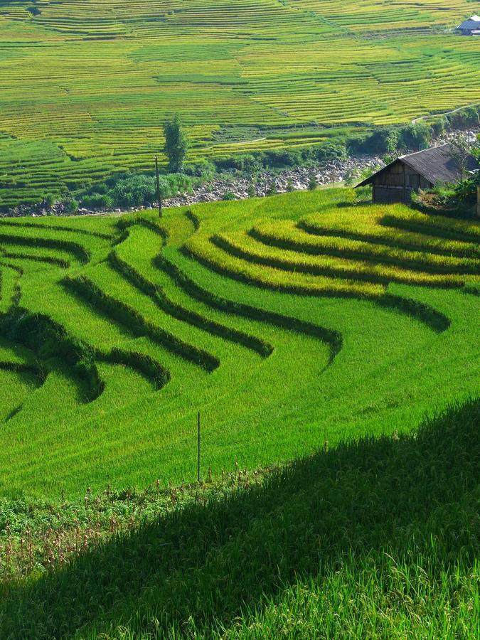 サパHmong Sister House And Trekkingアパートメント エクステリア 写真