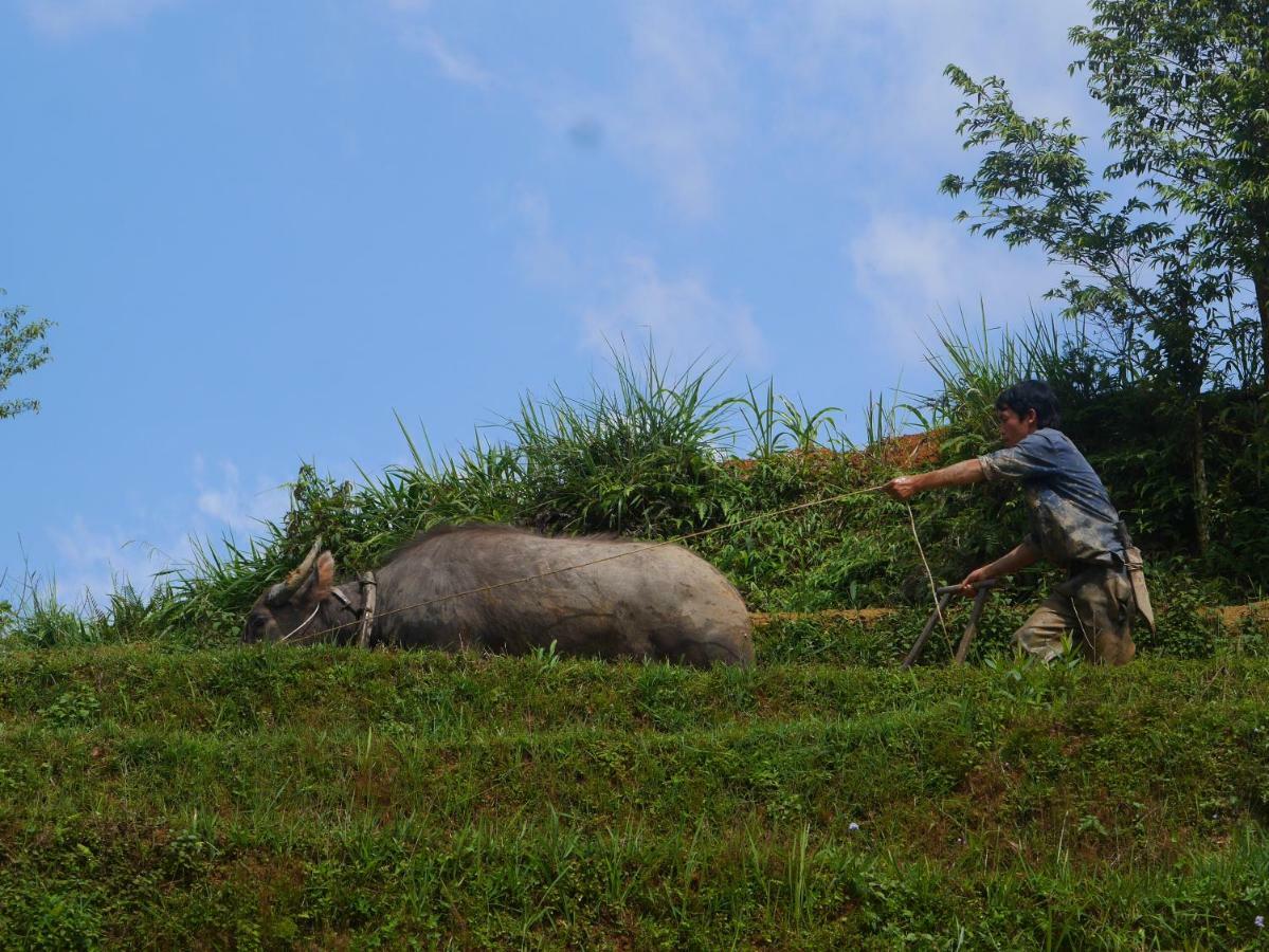 サパHmong Sister House And Trekkingアパートメント エクステリア 写真